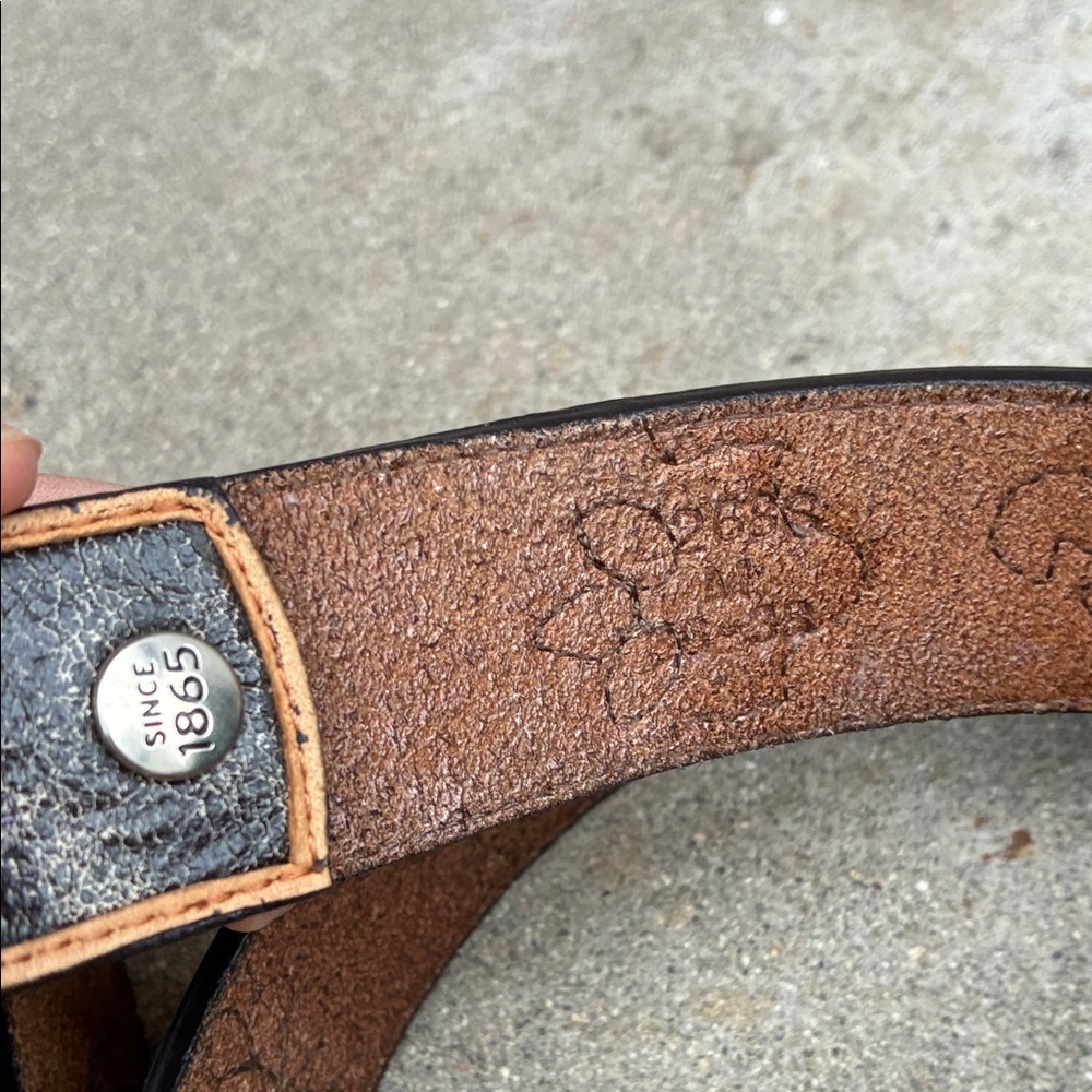 Stetson Black and Brown Leather Belt with Silver Buckle - Picture 2 of 10